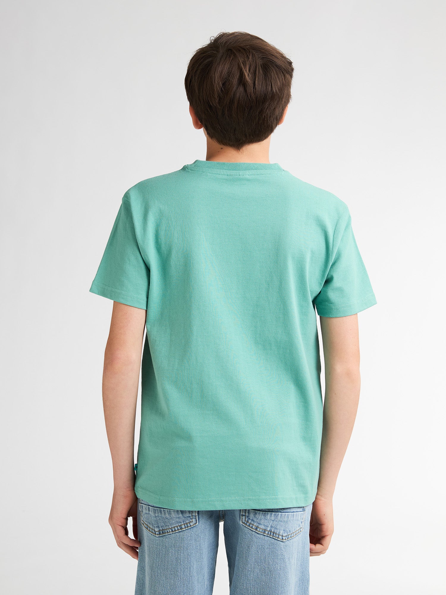 Pale Aqua