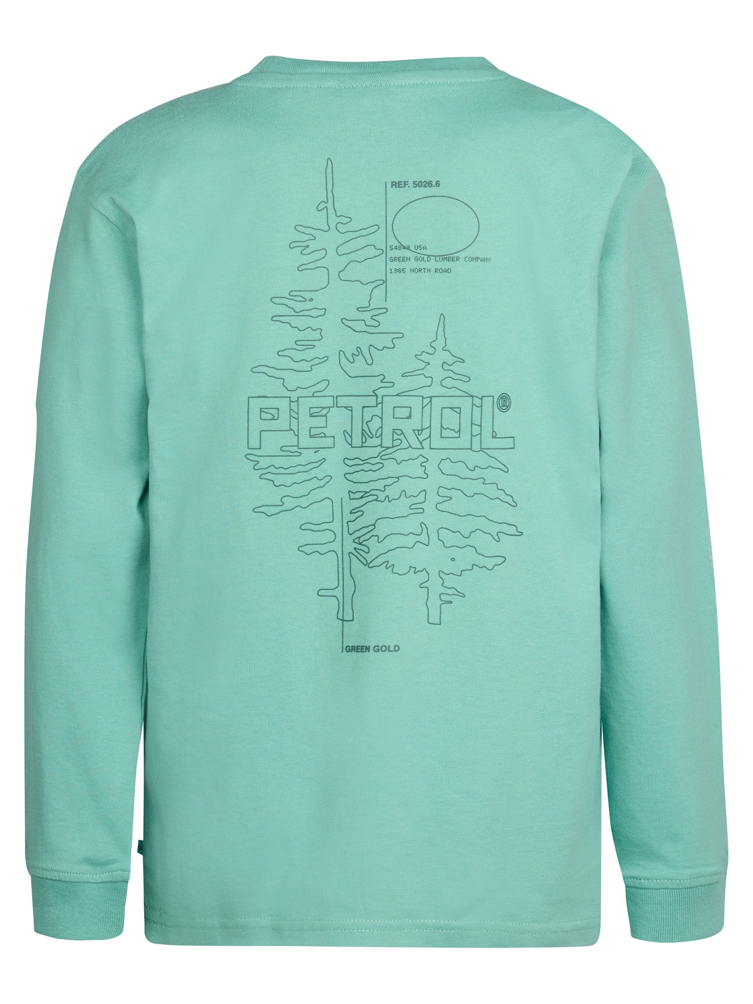 Pale Aqua