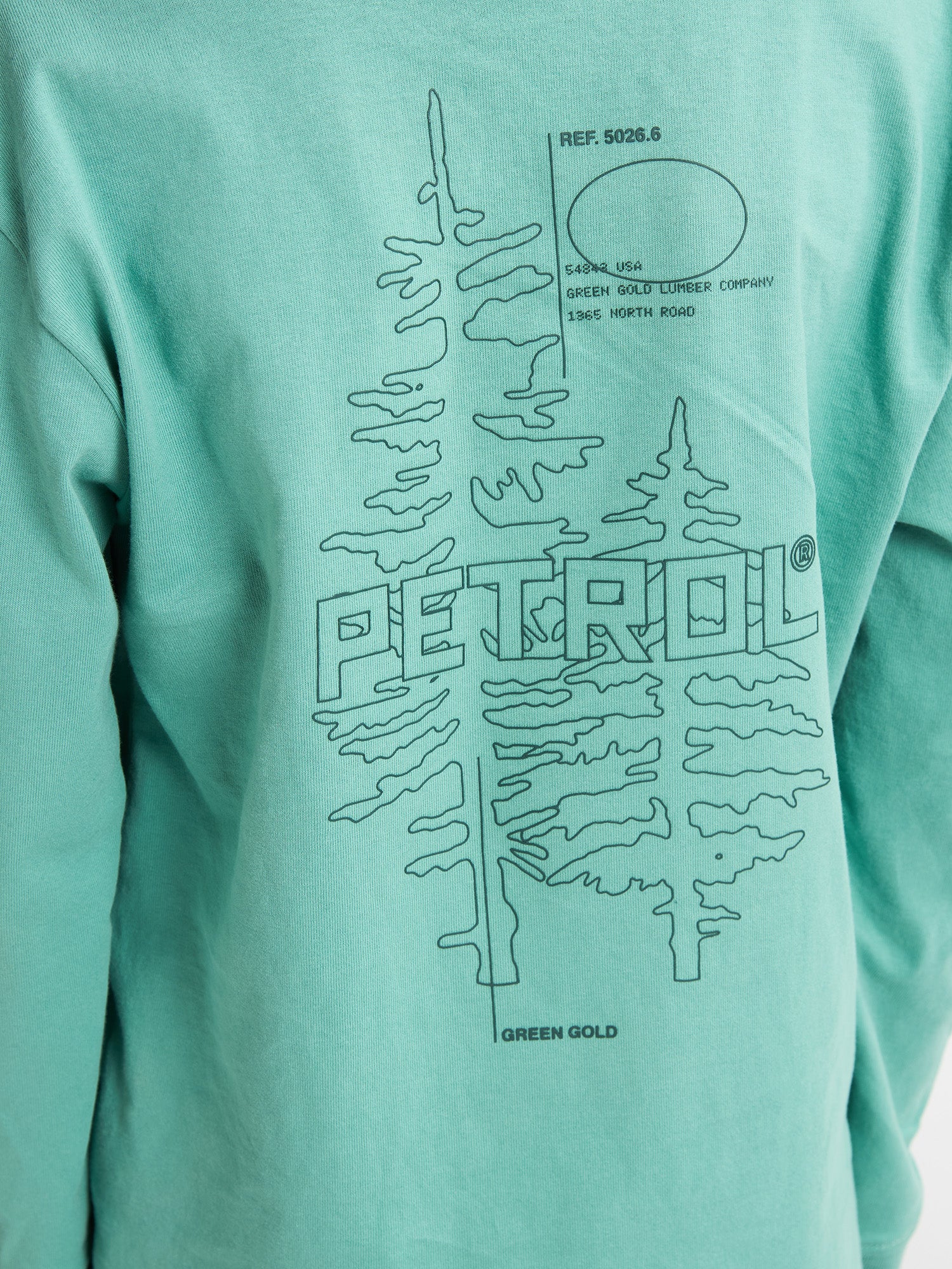 Pale Aqua