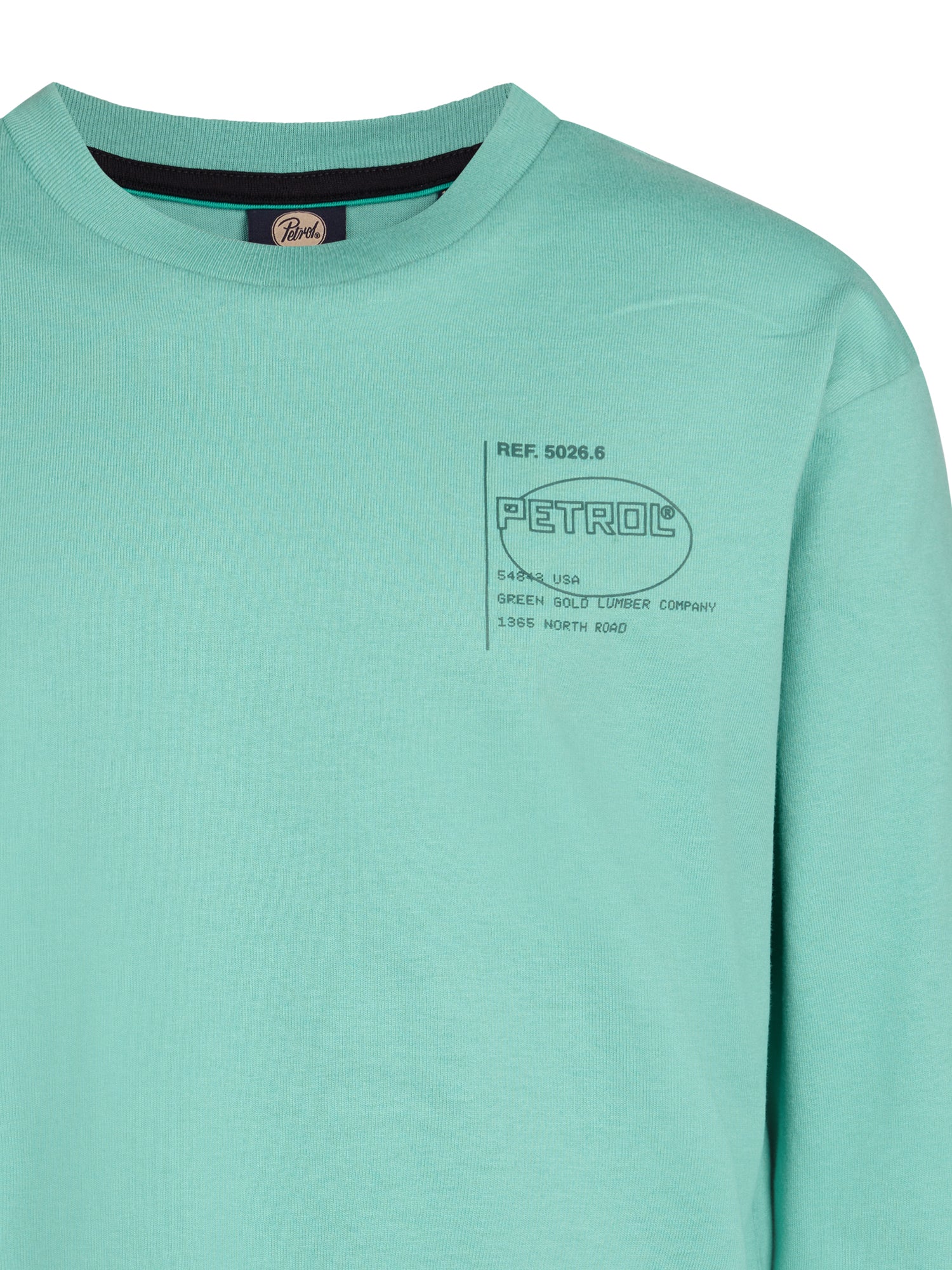 Pale Aqua
