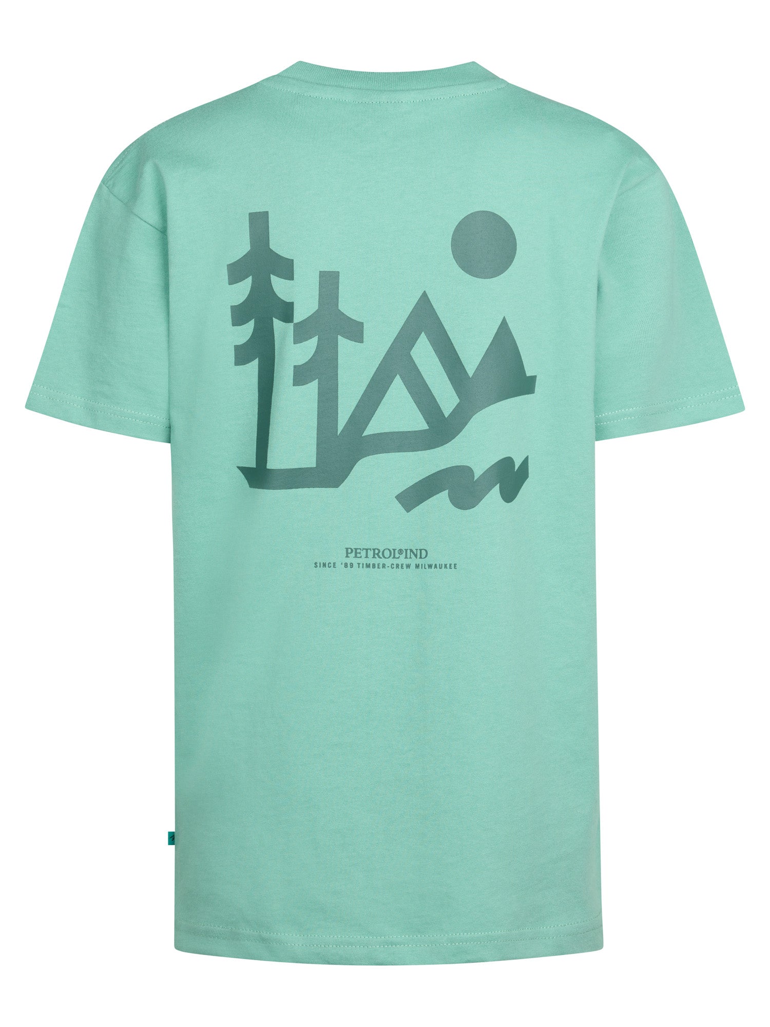 Pale Aqua