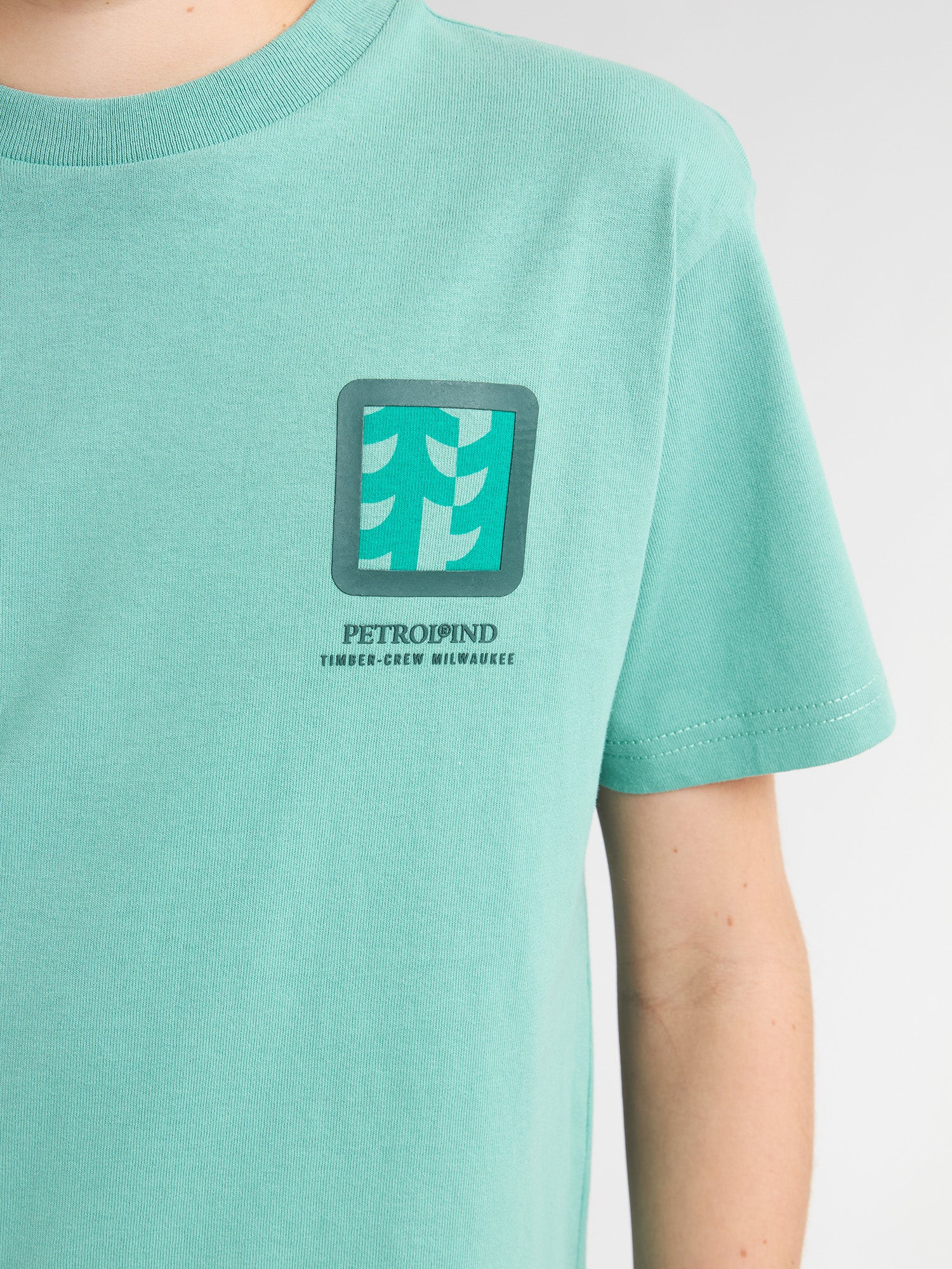 Pale Aqua