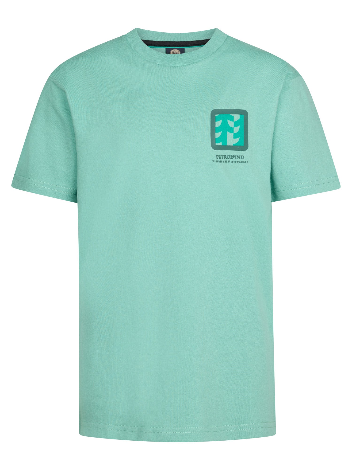 Pale Aqua