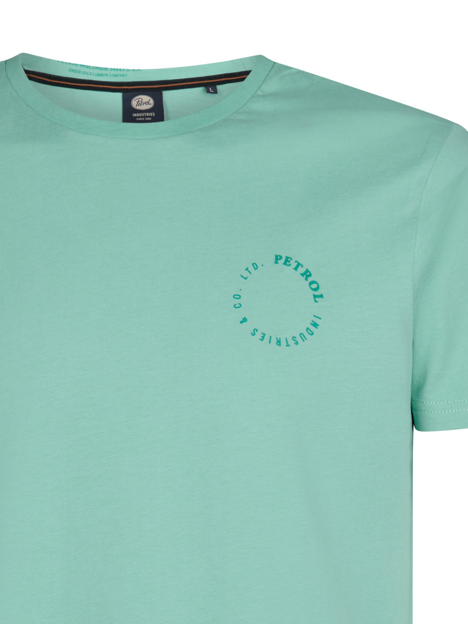 Pale Aqua