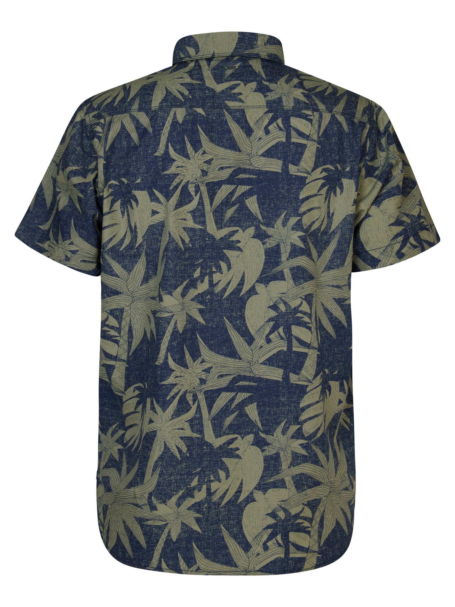 Sage Green